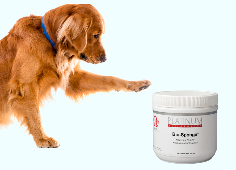 Bio Sponge For Dogs: Side Effects And Precautions