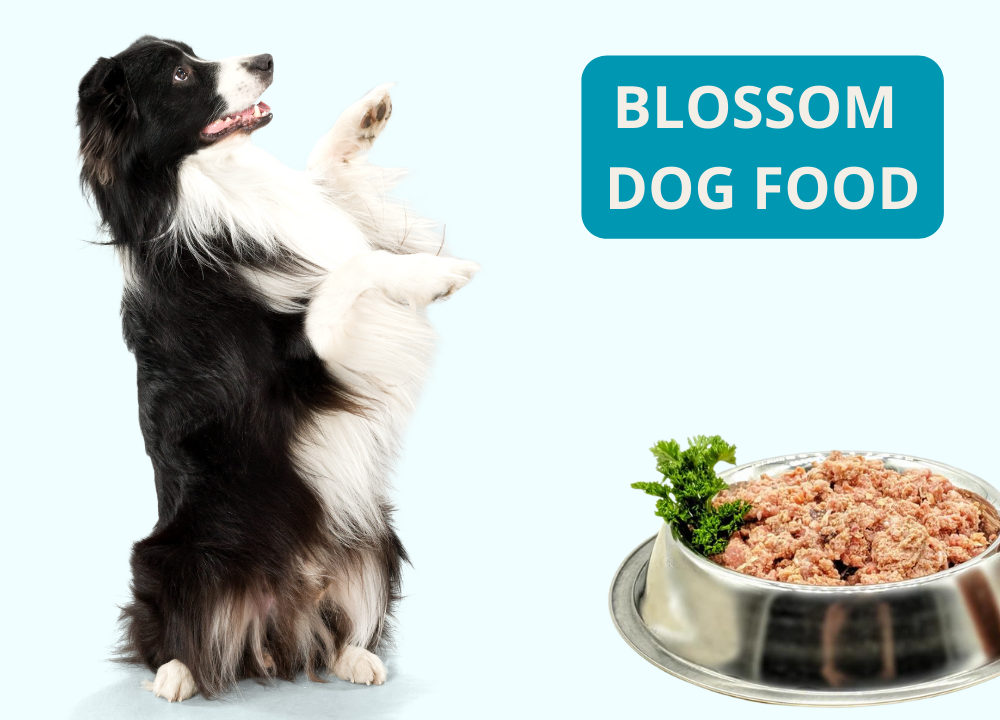 Blossom Dog Food photo