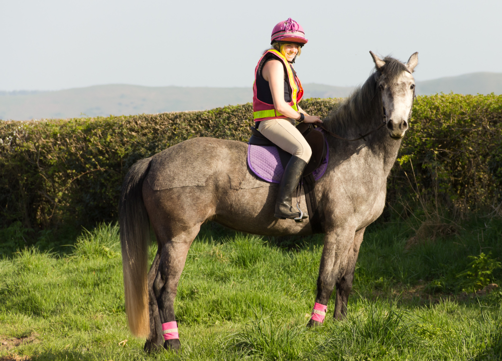 Find Out The Difference Between English and Western Riding